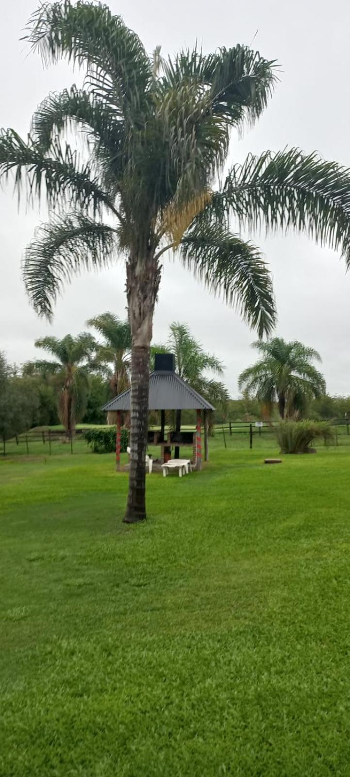 Cabanas Del Paraiso Colón Kültér fotó
